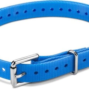 Garmin kaulapanta T5 mini, sininen (2020)