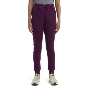 Icebreaker W Merino Crush Ii Pants - Nightshade - Naiset - S - Partioaitta